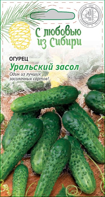 Огурец Уральский засол 0,25 гр цв.п. (Сибирская серия)